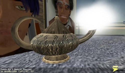 Your wish is my command